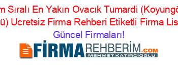 İsim+Sıralı+En+Yakın+Ovacık+Tumardi+(Koyungölü+Köyü)+Ucretsiz+Firma+Rehberi+Etiketli+Firma+Listesi Güncel+Firmaları!