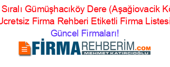 İsim+Sıralı+Gümüşhacıköy+Dere+(Aşağiovacik+Köyü)+Ucretsiz+Firma+Rehberi+Etiketli+Firma+Listesi Güncel+Firmaları!