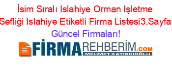 İsim+Sıralı+Islahiye+Orman+Işletme+Sefliği+Islahiye+Etiketli+Firma+Listesi3.Sayfa Güncel+Firmaları!