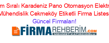 İsim+Sıralı+Karadeniz+Pano+Otomasyon+Elektrik+Mühendislik+Cekmeköy+Etiketli+Firma+Listesi Güncel+Firmaları!