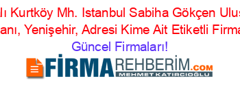 İsim+Sıralı+Kurtköy+Mh.+Istanbul+Sabiha+Gökçen+Uluslararası+Havalimanı,+Yenişehir,+Adresi+Kime+Ait+Etiketli+Firma+Listesi Güncel+Firmaları!