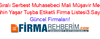 İsim+Sıralı+Serbest+Muhasebeci+Mali+Müşavir+Mehmet+Sahin+Yaşar+Tuşba+Etiketli+Firma+Listesi3.Sayfa Güncel+Firmaları!