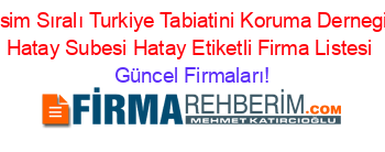 İsim+Sıralı+Turkiye+Tabiatini+Koruma+Dernegi+Hatay+Subesi+Hatay+Etiketli+Firma+Listesi Güncel+Firmaları!
