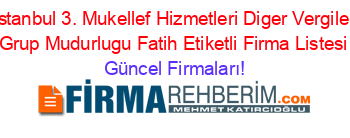 Istanbul+3.+Mukellef+Hizmetleri+Diger+Vergiler+Grup+Mudurlugu+Fatih+Etiketli+Firma+Listesi Güncel+Firmaları!