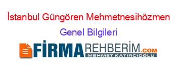 İstanbul+Güngören+Mehmetnesihözmen Genel+Bilgileri