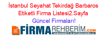 İstanbul+Seyahat+Tekirdağ+Barbaros+Etiketli+Firma+Listesi2.Sayfa Güncel+Firmaları!