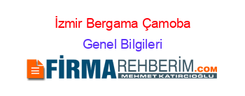 İzmir+Bergama+Çamoba Genel+Bilgileri