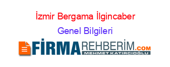 İzmir+Bergama+İlgincaber Genel+Bilgileri