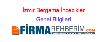 İzmir+Bergama+İncecikler Genel+Bilgileri