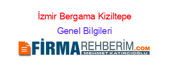 İzmir+Bergama+Kiziltepe Genel+Bilgileri