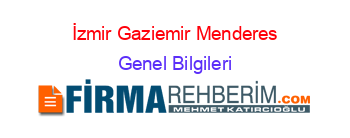 İzmir+Gaziemir+Menderes Genel+Bilgileri