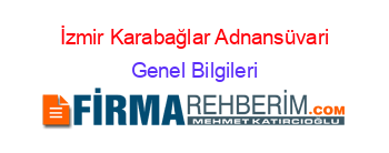 İzmir+Karabağlar+Adnansüvari Genel+Bilgileri