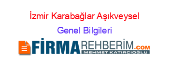 İzmir+Karabağlar+Aşıkveysel Genel+Bilgileri