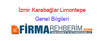 İzmir+Karabağlar+Limontepe Genel+Bilgileri
