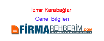 İzmir+Karabağlar+ Genel+Bilgileri