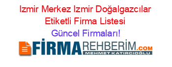Izmir+Merkez+Izmir+Doğalgazcılar+Etiketli+Firma+Listesi Güncel+Firmaları!