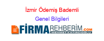 İzmir+Ödemiş+Bademli Genel+Bilgileri