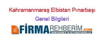 Kahramanmaraş+Elbistan+Pınarbaşı Genel+Bilgileri
