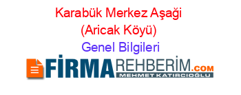 Karabük+Merkez+Aşaği+(Aricak+Köyü) Genel+Bilgileri