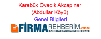 Karabük+Ovacık+Akcapinar+(Abdullar+Köyü) Genel+Bilgileri