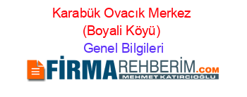 Karabük+Ovacık+Merkez+(Boyali+Köyü) Genel+Bilgileri