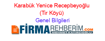 Karabük+Yenice+Recepbeyoğlu+(Tir+Köyü) Genel+Bilgileri