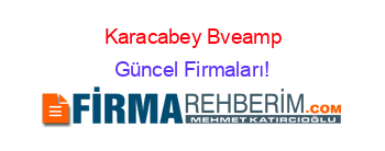 Karacabey+Bveamp;G+Etiketli+Firma+Listesi2.Sayfa Güncel+Firmaları!