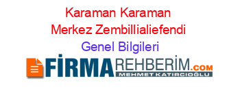 Karaman+Karaman+Merkez+Zembillialiefendi Genel+Bilgileri