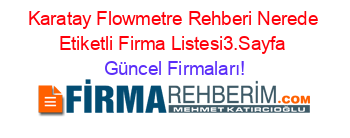 Karatay+Flowmetre+Rehberi+Nerede+Etiketli+Firma+Listesi3.Sayfa Güncel+Firmaları!