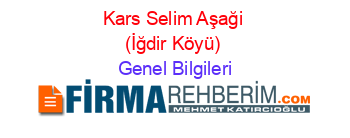 Kars+Selim+Aşaği+(İğdir+Köyü) Genel+Bilgileri