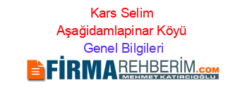 Kars+Selim+Aşağidamlapinar+Köyü Genel+Bilgileri
