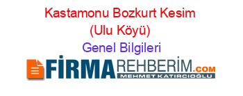 Kastamonu+Bozkurt+Kesim+(Ulu+Köyü) Genel+Bilgileri
