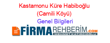 Kastamonu+Küre+Habiboğlu+(Camili+Köyü) Genel+Bilgileri