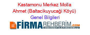 Kastamonu+Merkez+Molla+Ahmet+(Baltacikuyucaği+Köyü) Genel+Bilgileri