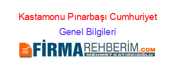 Kastamonu+Pınarbaşı+Cumhuriyet Genel+Bilgileri