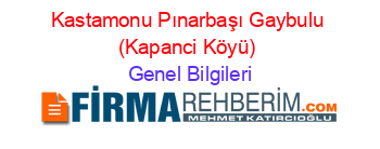 Kastamonu+Pınarbaşı+Gaybulu+(Kapanci+Köyü) Genel+Bilgileri