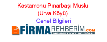 Kastamonu+Pınarbaşı+Muslu+(Urva+Köyü) Genel+Bilgileri