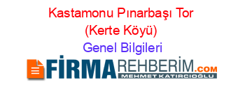 Kastamonu+Pınarbaşı+Tor+(Kerte+Köyü) Genel+Bilgileri