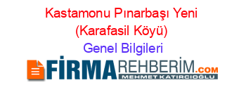 Kastamonu+Pınarbaşı+Yeni+(Karafasil+Köyü) Genel+Bilgileri
