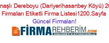 Kaynaşlı+Dereboyu+(Dariyerihasanbey+Köyü)+2023+Firmaları+Etiketli+Firma+Listesi1200.Sayfa Güncel+Firmaları!