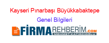 Kayseri+Pınarbaşı+Büyükkabaktepe Genel+Bilgileri