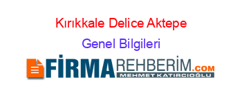 Kırıkkale+Delice+Aktepe Genel+Bilgileri