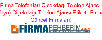 Kırşehir+Firma+Telefonları+Ciçekdağı+Telefon+Ajansı+Küme+2+(Aşağihaciahmetli+Köyü)+Ciçekdağı+Telefon+Ajansı+Etiketli+Firma+Listesi1320.Sayfa Güncel+Firmaları!