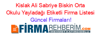 Kislak+Ali+Sabriye+Biskin+Orta+Okulu+Yayladağı+Etiketli+Firma+Listesi Güncel+Firmaları!