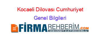 Kocaeli+Dilovası+Cumhuriyet Genel+Bilgileri