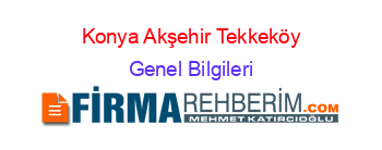Konya+Akşehir+Tekkeköy Genel+Bilgileri