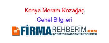 Konya+Meram+Kozağaç Genel+Bilgileri
