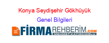Konya+Seydişehir+Gökhüyük Genel+Bilgileri