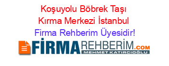 Koşuyolu+Böbrek+Taşı+Kırma+Merkezi+İstanbul Firma+Rehberim+Üyesidir!
