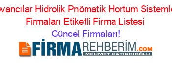 Kovancılar+Hidrolik+Pnömatik+Hortum+Sistemleri+Firmaları+Etiketli+Firma+Listesi Güncel+Firmaları!